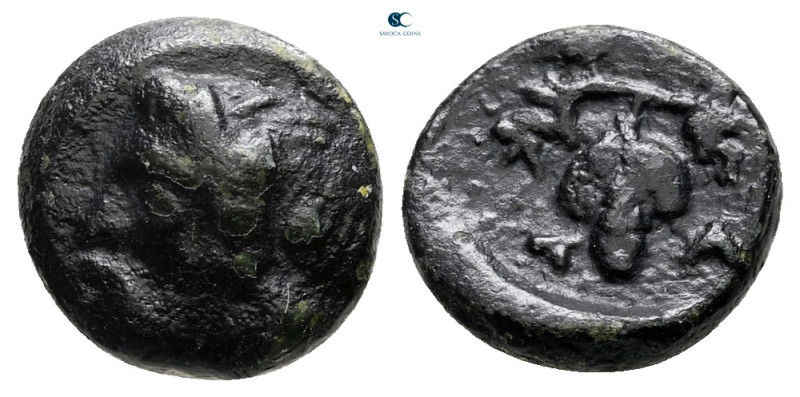 Aiolis. Temnos circa 300-200 BC. 
Bronze Æ

10 mm, 1,20 g



nearly very ...