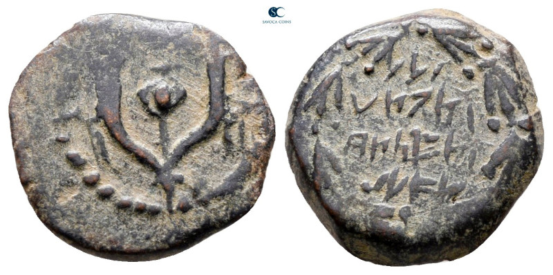 Judaea. Jerusalem. John Hyrcanus I 135-104 BC. 
Prutah Æ

15 mm, 1,85 g


...