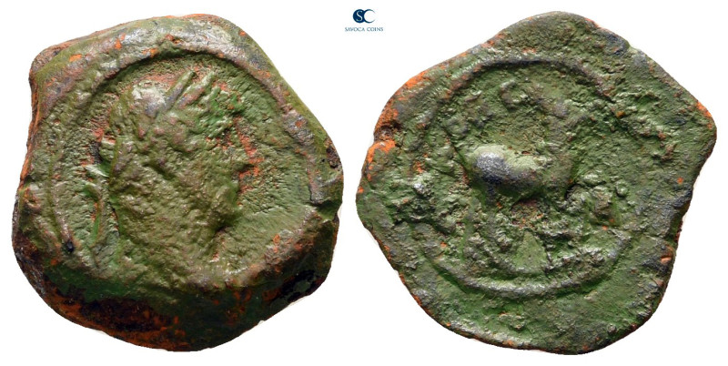 Egypt. Alexandria. Hadrian AD 117-138. 
Dichalkon Æ

16 mm, 1,84 g



nea...