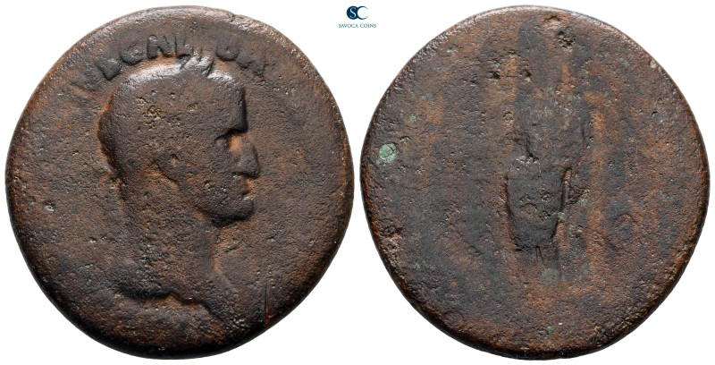 Galba AD 68-69. Rome
Sestertius Æ

35 mm, 22,02 g



fine