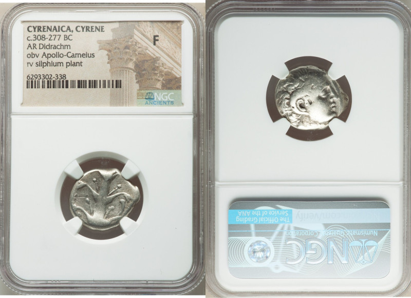 CYRENAICA. Cyrene. Ca. 308-277 BC. AR didrachm (20mm, 7h). NGC Fine. Magas as Pt...