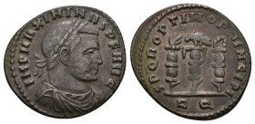 IMPERIO ROMANO. MAXIMINO II. Follis. Roma (312-313). A/ Busto laureado, drapeado y acorazado a der.; IMP MAXIMINVS P F AVG. R/ Aquila entre dos vexill...