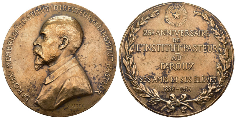 MONEDAS EXTRANJERAS. FRANCIA. Medalla. Dr. Roux. 25 años del Instituto Pasteur. ...