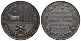 MEDALLAS CARLISTAS. A los defensores de Teruel, la Patria agradecida. 3 de julio de 1874. AE 22,9 g. 34,74 mm. Golpe en canto. EBC-.