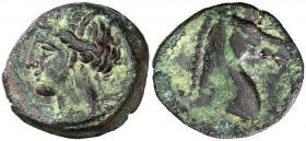 (s. III-II a.C.). Zeugitana. Cartago. AE 19. (S. 6523). 5,05 g. MBC.