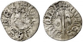 Joan II (1458-1479). Perpinyà. Diner. (Cru.V.S. 952) (Cru.C.G. 2991). 0,66 g. Buen ejemplar. Escasa. MBC+.