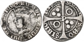 Ferran II (1479-1516). Perpinyà. Croat. (Cru.V.S. 1156 var) (Cru.C.G. 3075 falta var). 2,28 g. Rara. BC+/MBC-.