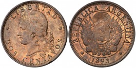 1893. Argentina. 2 centavos. (Kr. 33). 10,21 g. CU. Golpecitos en canto. (EBC).