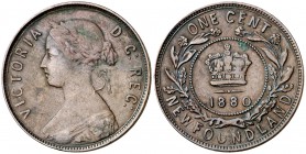 1880. Canadá. Terranova. Victoria. 1 centavo. (Kr. 1). 5,61 g. CU. Escasa. MBC-.