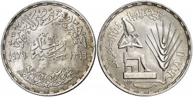 AH 1396 (1976). Egipto. 1 libra. (Kr. 453). 14,89 g. AG. F. A. O. S/C.