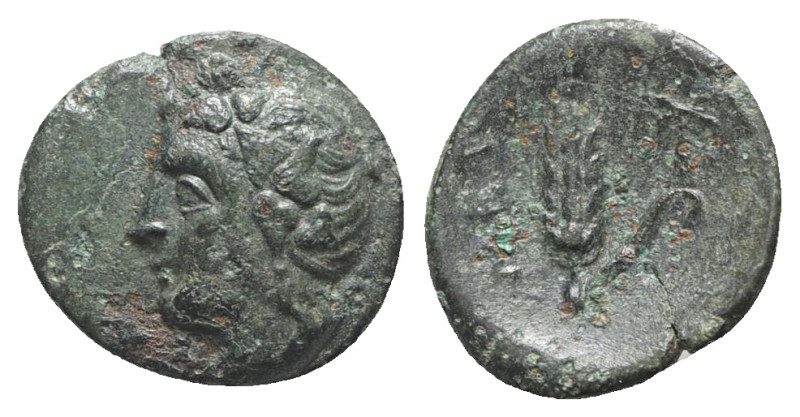 Southern Lucania, Metapontion, c. 300-250 BC. Æ (15mm, 2.60g, 7h). Wreathed head...