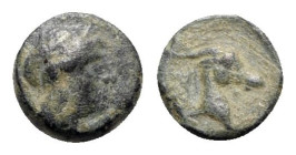 Aeolis, Aigai, 4th-3rd centuries BC. Æ (9mm, 1.31g, 12h). Laureate head of Apollo r. R/ Head of goat r. SNG Copenhagen 2; SNG von Aulock 1593. Green p...