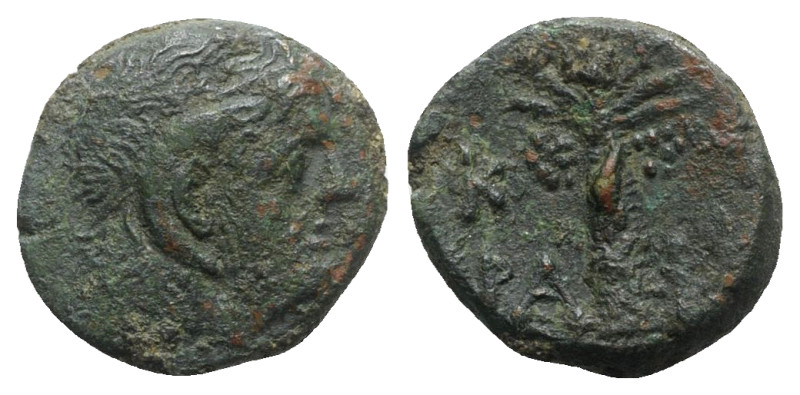 Kyrene, time of Magas (King of Kyrene, c. 282/75-261 BC). Æ (18mm, 5.46g, 12h). ...