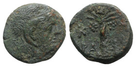 Kyrene, time of Magas (King of Kyrene, c. 282/75-261 BC). Æ (18mm, 5.46g, 12h). Diademed head of Zeus-Ammon r. R/ Palm tree; K-Y/PA in two lines acros...