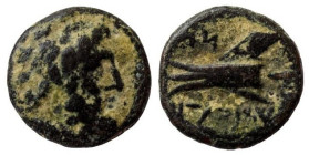 Bronze AE
Phoenicia, Arados c. 242-166 BC
18 mm