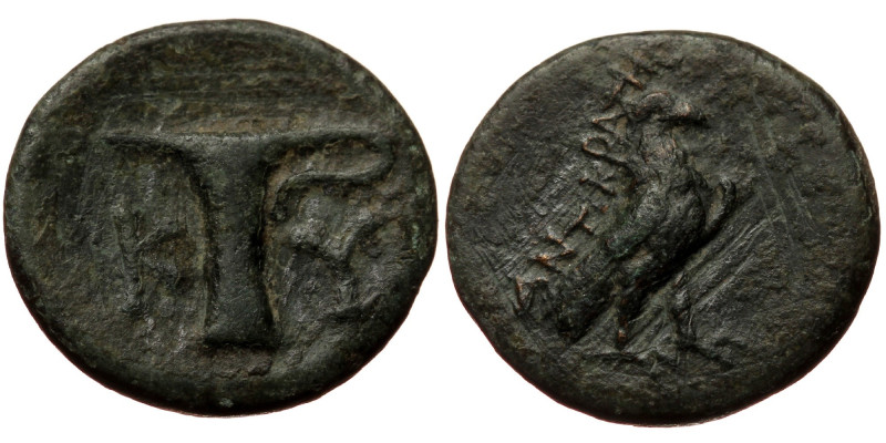 Bronze AE
Aeolis, Kyme, AE chalkous, c. 300-250 BC, Eagle standing right, ANTIK...