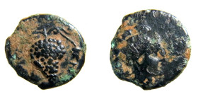 Bronze AE
Ancient greek coin
14 mm, 1 g