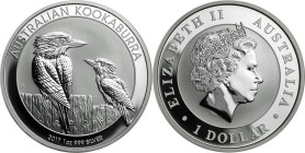 1 Oz AR
Australia, Kookaburra 2017
31,10 g