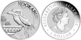 1 Oz AR
Australia, Kookaburra 2022
31,10 g