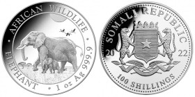1 OZ AR
Somalia, Elefant 2022
31,10 g