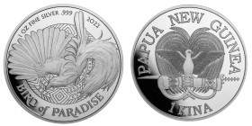 1 OZ AR
Papua New Guinea Birds of Paradise, 2021
31,10 g