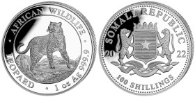 1 OZ AR
Somalia, 100 Shilligs, Leopard, 2022
31,10 g