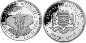 1 OZ AR
Somalia, Elefant 2021
31,10 g