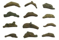 12 Dolphin Money of Olbia