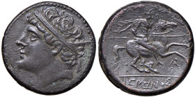 SICILIA Siracusa - Gerone II (274-216. a.C.) AE - Testa diademata a s. - R/ Cavaliere a d. - S.ANS 1365 e segg. AE (g 18,31)
BB