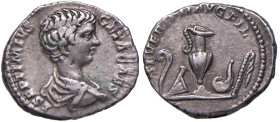 Geta (211-215) Denario - Busto a d. - R/ Strumenti sacrificali - RIC 3 AG (g 3,29)
BB
