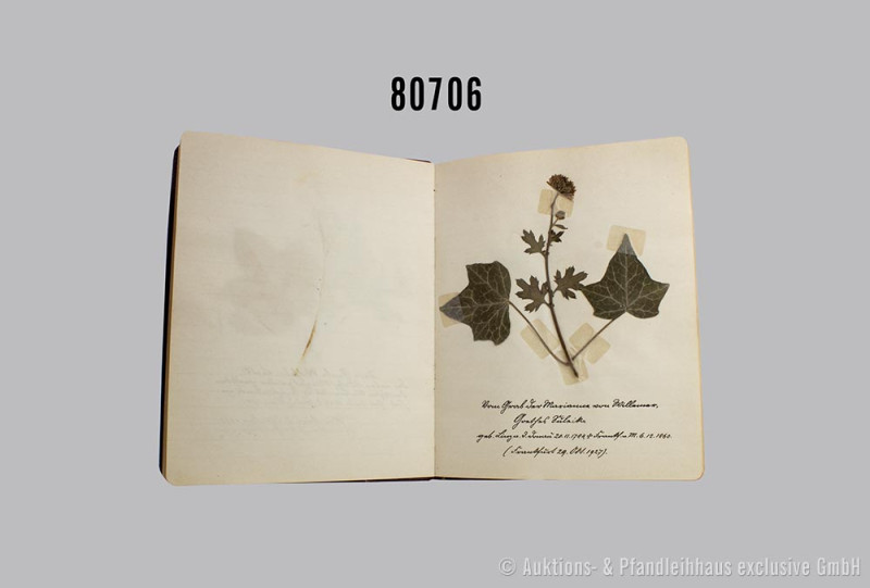 Herbarium, 1.Hälfte 20. Jh., bestehend aus getrockneten Pflanzen und handgeschri...
