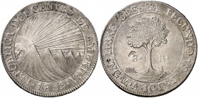 1839/7. República Centroamericana. Guatemala. MA/BA. 8 reales. (Kr. 4). 26,91 g. AG. Leve hojita en reverso. Bella. Parte de brillo original. Rara así...