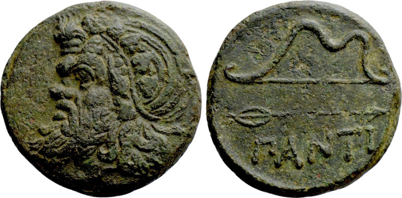 CIMMERIAN BOSPOROS. Pantikapaion. Ae (Circa 340-325 BC). 

Obv: Wreathed head ...
