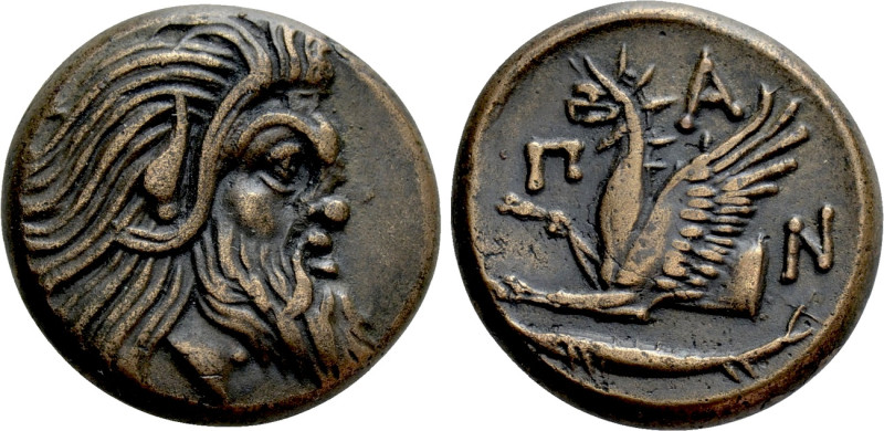 CIMMERIAN BOSPOROS. Pantikapaion. Ae (Circa 310-304/3 BC). 

Obv: Bearded head...