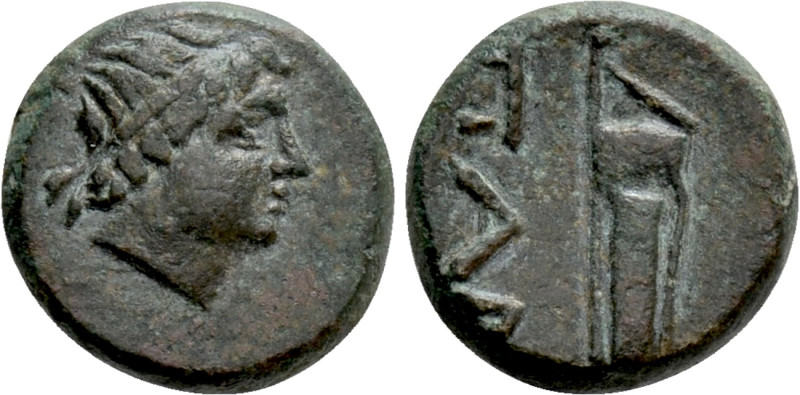 CIMMERIAN BOSPOROS. Pantikapaion. Ae (Circa 200-150 BC). 

Obv: Laureate head ...