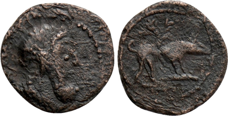 ASIA MINOR. Uncertain. Ae (Circa 4th-3rd century BC)

Obv: Bearded head right...