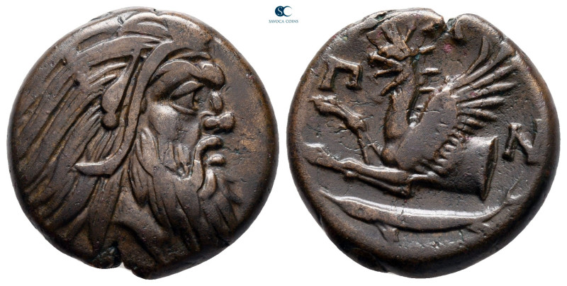 Cimmerian Bosporos. Pantikapaion circa 325-310 BC. 
Bronze Æ

21 mm, 6,70 g
...