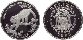 Belize Commonwealth Elizabeth II 10 Dollars 1995 Royal mint(Mintage 10000) Conservation, Endangered Wildlife, Howler monkey Silver PF 28.4g KM# 125