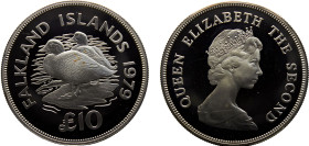 Falkland Islands British colony Elizabeth II 10 Pounds 1979 (Mintage 3247) Conservation, Steamer Ducks Silver PF 35.7g KM# 12