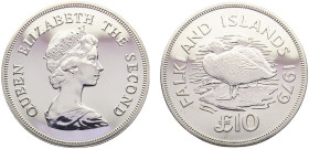 Falkland Islands British colony Elizabeth II 10 Pounds 1979 (Mintage 3996) Conservation, Flightless Steamer Ducks Silver PF 35.6g KM# 12