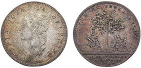 France Kingdom Louis XIV Jeton 1717 Daphiné, Maria-Josepha of Saxony Silver XF 7.2g