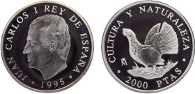 Spain Kingdom Juan Carlos I 2000 Pesetas 1995 M Madrid mint(Mintage 18359) Conservation, Culture and Nature, Capercaillie Silver PF 27g KM# 953