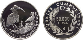 Turkey Republic 50000 Lira ND (1994) (Mintage 6807) Conservation, Endangered Wildlife, Bald Ibis Silver PF 31.4g KM# 1030