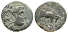 SELEUKID KINGDOM. Seleukos I Nikator (312-281 BC). Ae. Antioch.
Obv: Winged head of Medusa right.
Rev: BAΣIΛEΩΣ ΣEΛEYKOY.
Bull butting right; Ξ in exe...