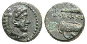 Kingdom of Macedon, Time of Alexander III 'the Great' Æ Unit. Uncertain Macedonian mint, circa 332-323 BC. Head of Herakles
 right, wearing lion skin ...