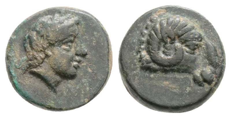 Troas, Kebren Æ . Circa 400-310 BC. Laureate head of Apollo to right / Head of r...