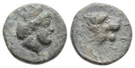 Troas. Antandros circa 350-250 BC. Bronze Æ Laureate head of Apollo right / Head of a
 roaring lion right, ANTAN and grape cluster to right. 
1.5g 11....