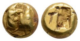 Mysia, Kyzikos EL Hemihekte. Circa 600-550 BC. Tunny fish head to left, tunny fish body below / Quadripartite incuse square. 
1.35g 7.1mm