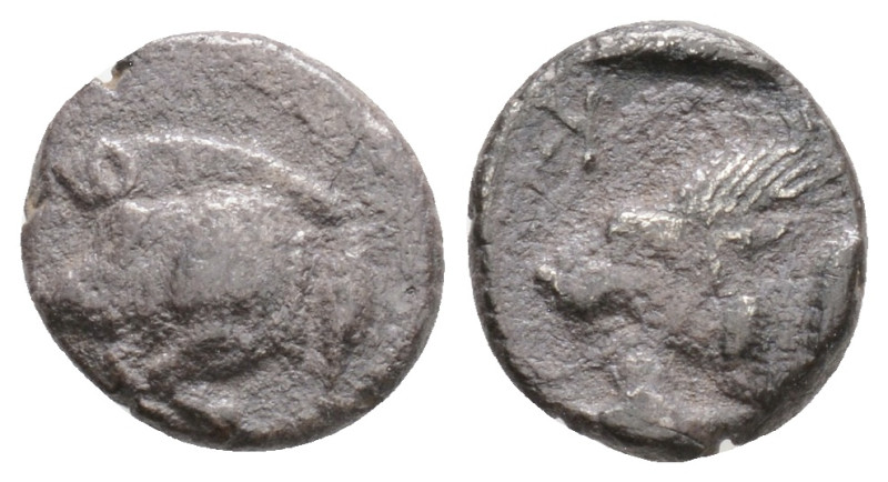 Mysia, Kyzikos AR Obol (?). 525-475 BC. Forepart of boar left, tunny fish behind...