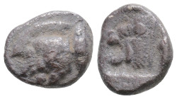 Mysia, Kyzikos AR Obol (?). 525-475 BC. Forepart of boar left, tunny fish behind / Head of roaring lion left, within incuse square.
1.1g 11.5mm
